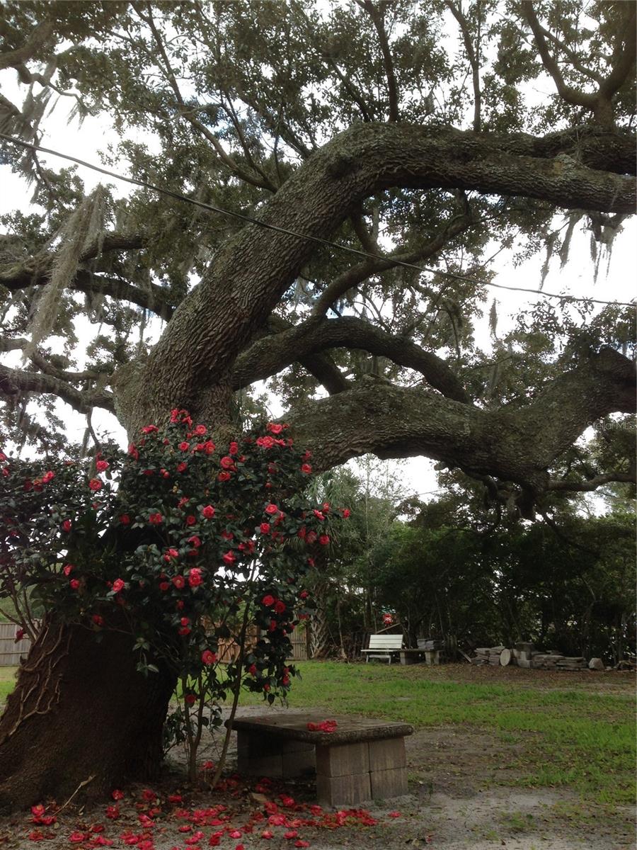 2223 KILMER LN, APOPKA, FL, 32703