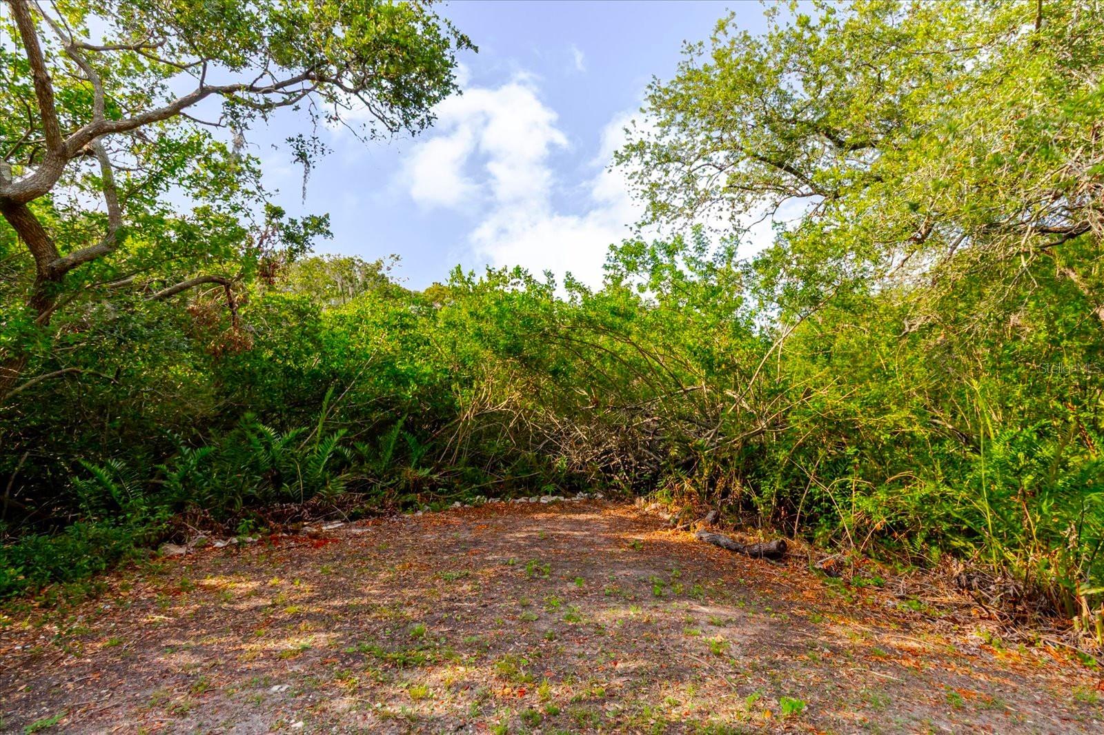 1974 HIDDEN SPRINGS PL, CLEARWATER, FL, 33760