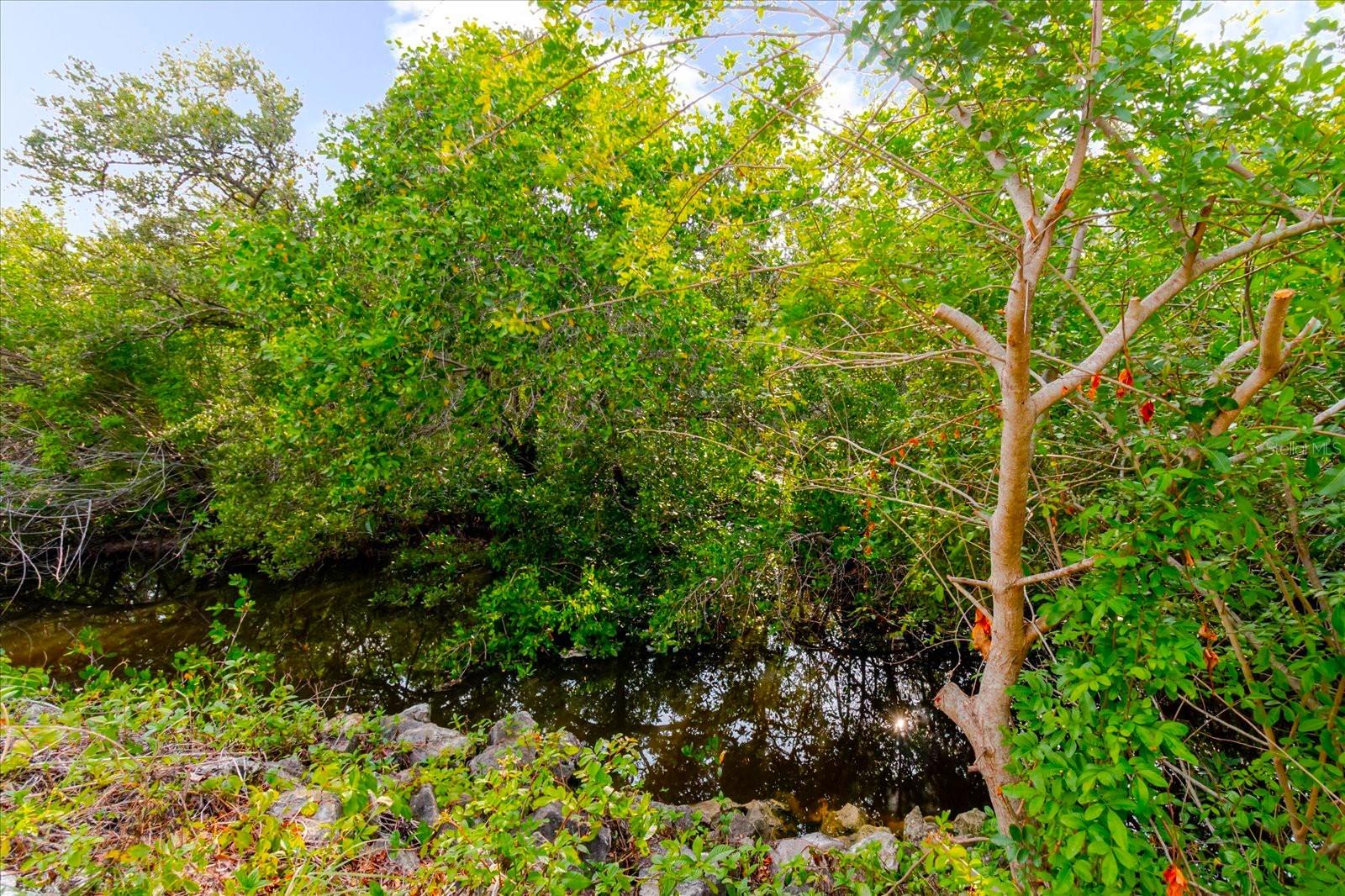 1974 HIDDEN SPRINGS PL, CLEARWATER, FL, 33760