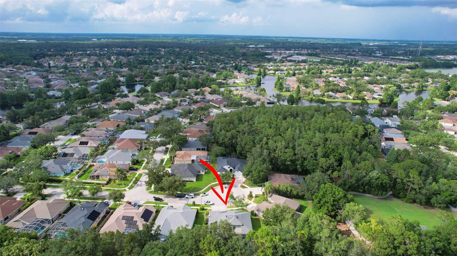 10204 MILLPORT DR, TAMPA, FL, 33626