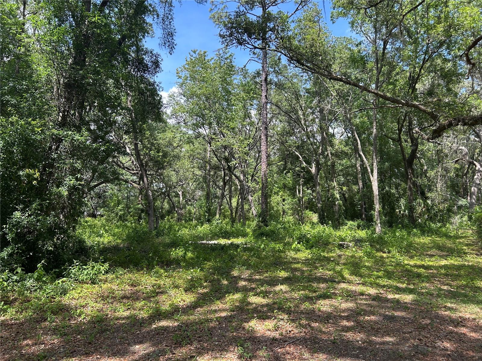 TBD (lot #25) SE 192ND CT, MORRISTON, FL, 32668