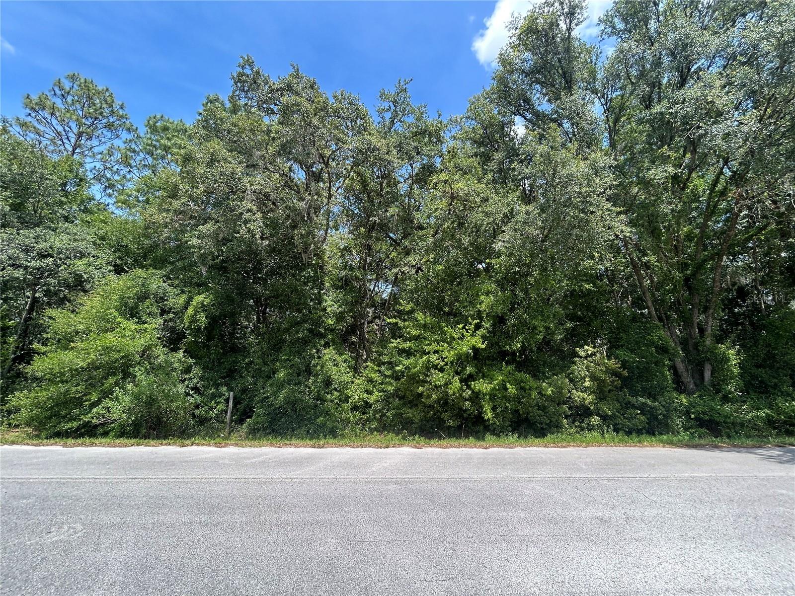 TBD (lot #25) SE 192ND CT, MORRISTON, FL, 32668