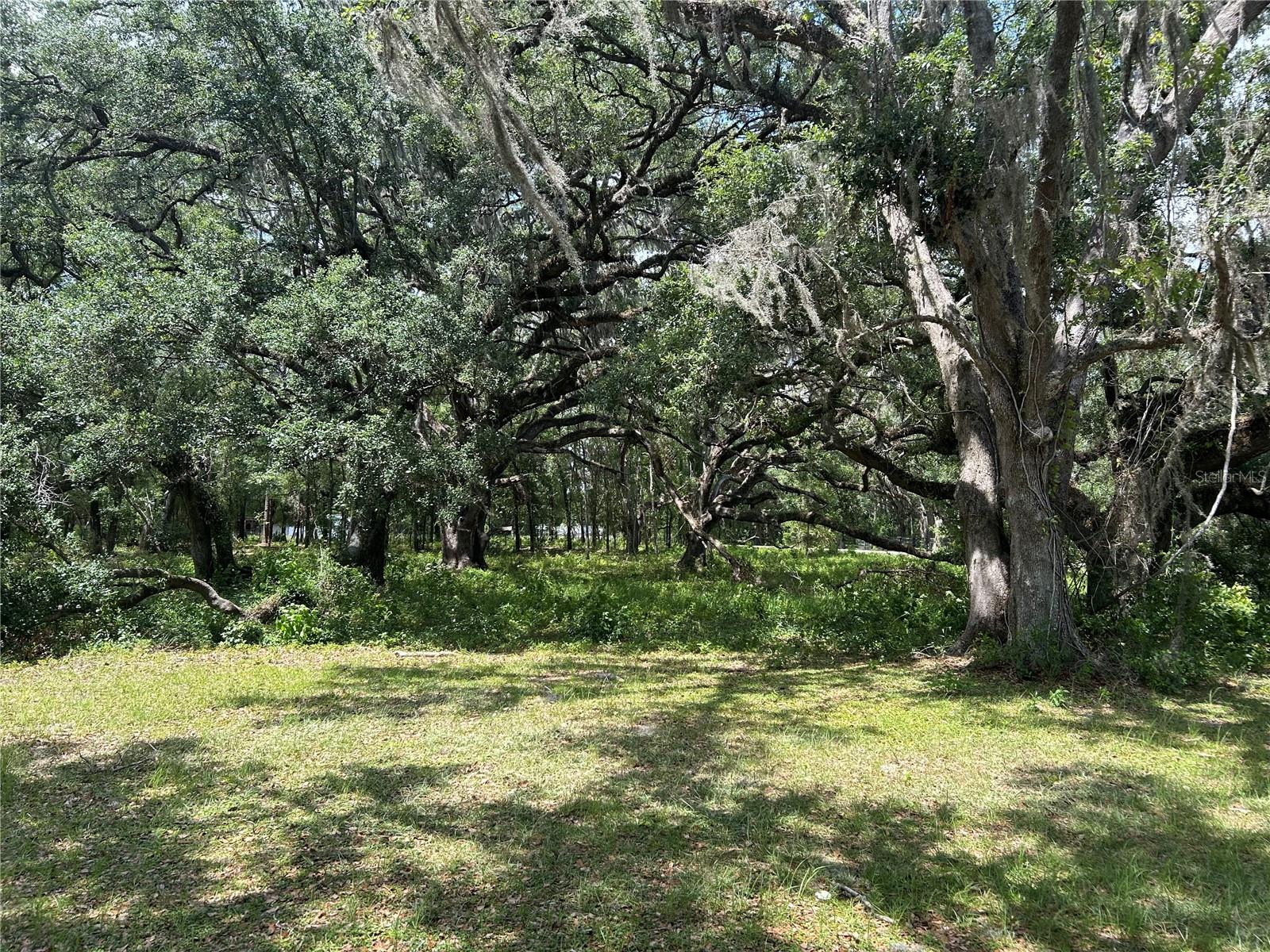 TBD (Lot #17) SE 192ND CT, MORRISTON, FL, 32668
