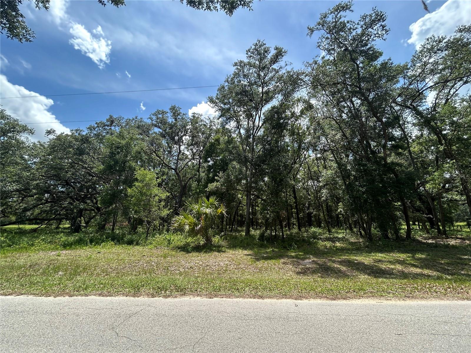 TBD (Lot #17) SE 192ND CT, MORRISTON, FL, 32668