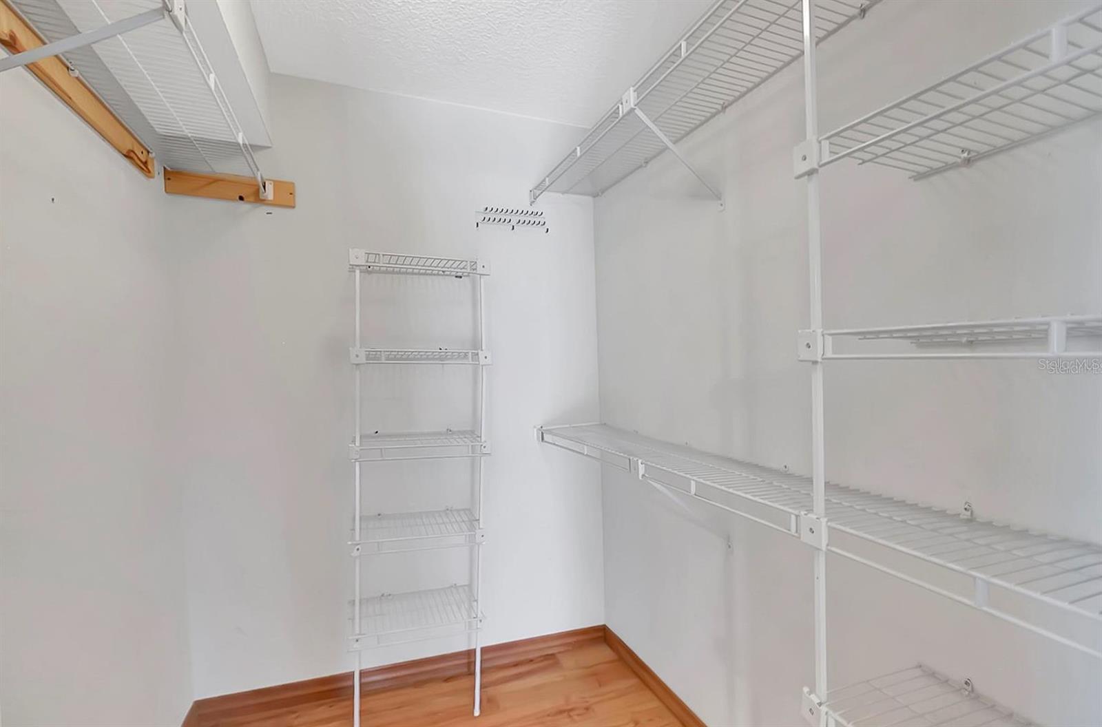 1808 SAWHORSE CT, LUTZ, FL, 33559