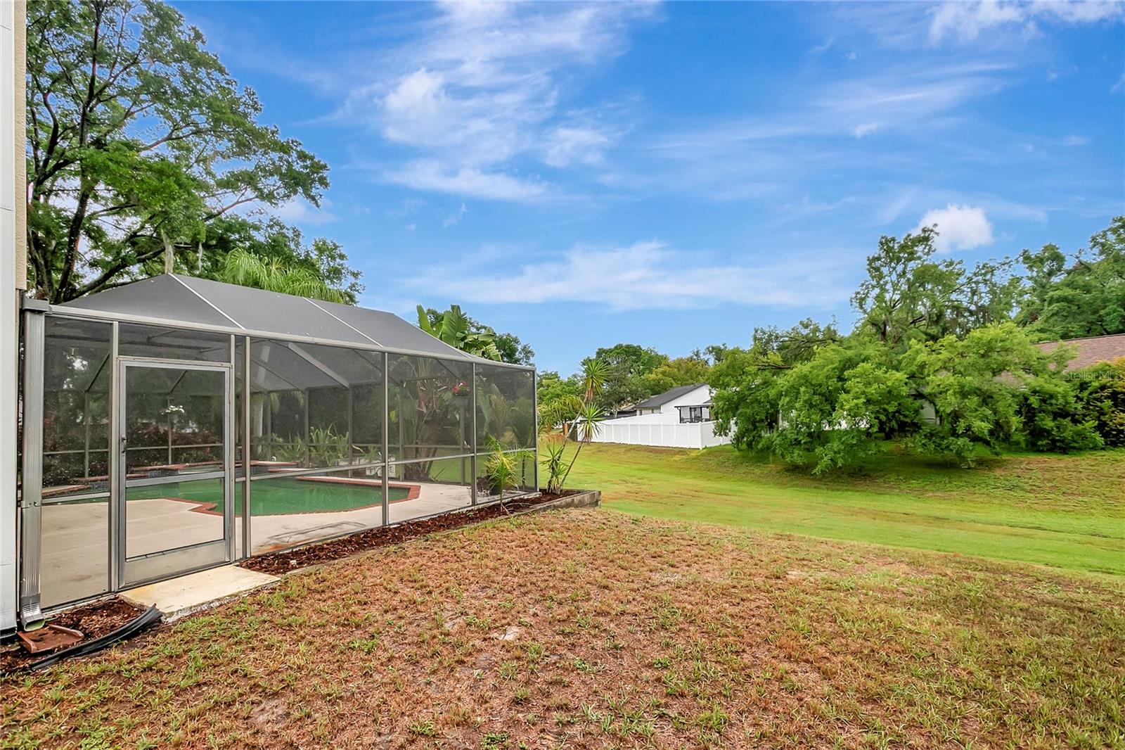 1808 SAWHORSE CT, LUTZ, FL, 33559