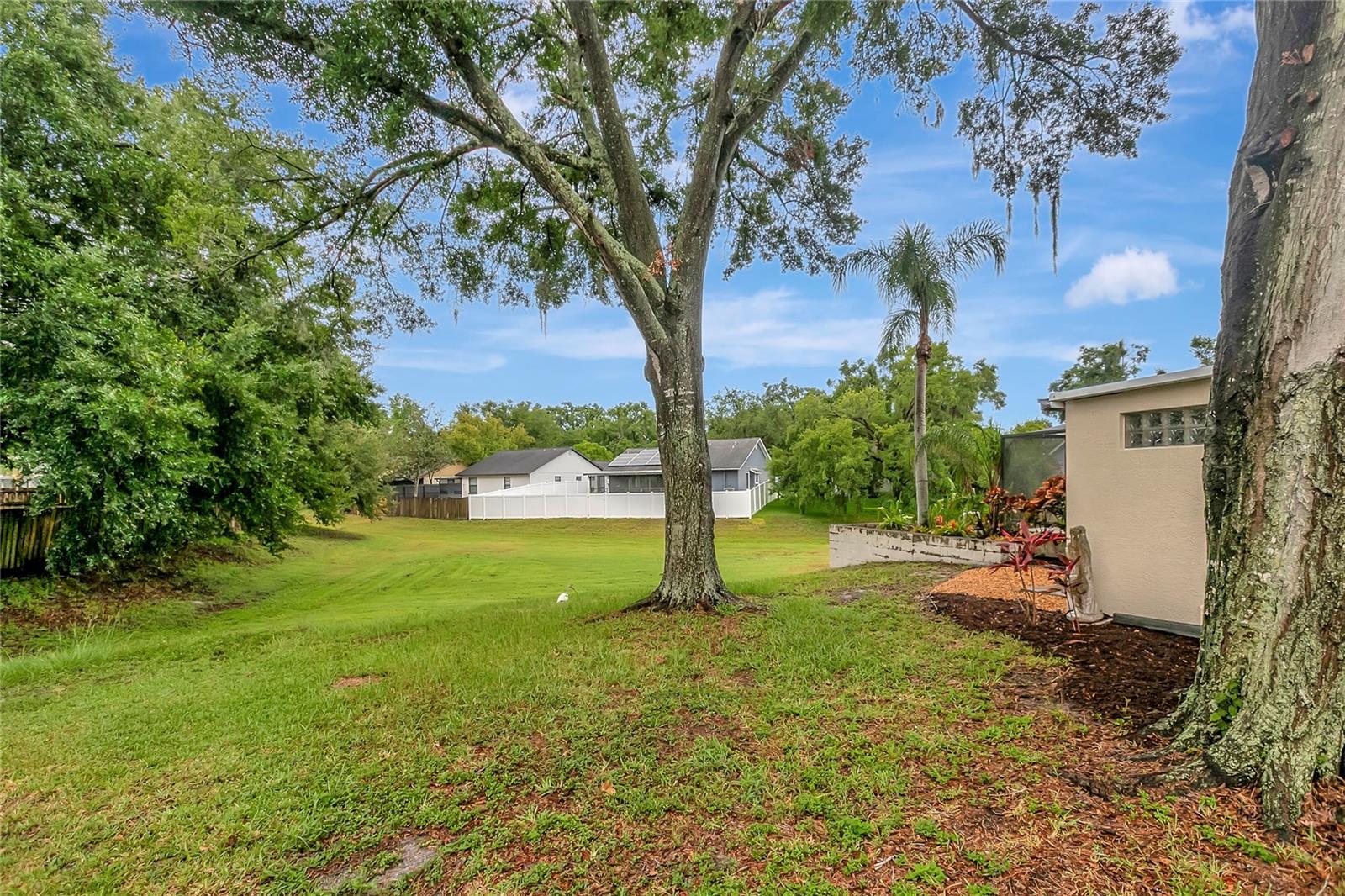 1808 SAWHORSE CT, LUTZ, FL, 33559