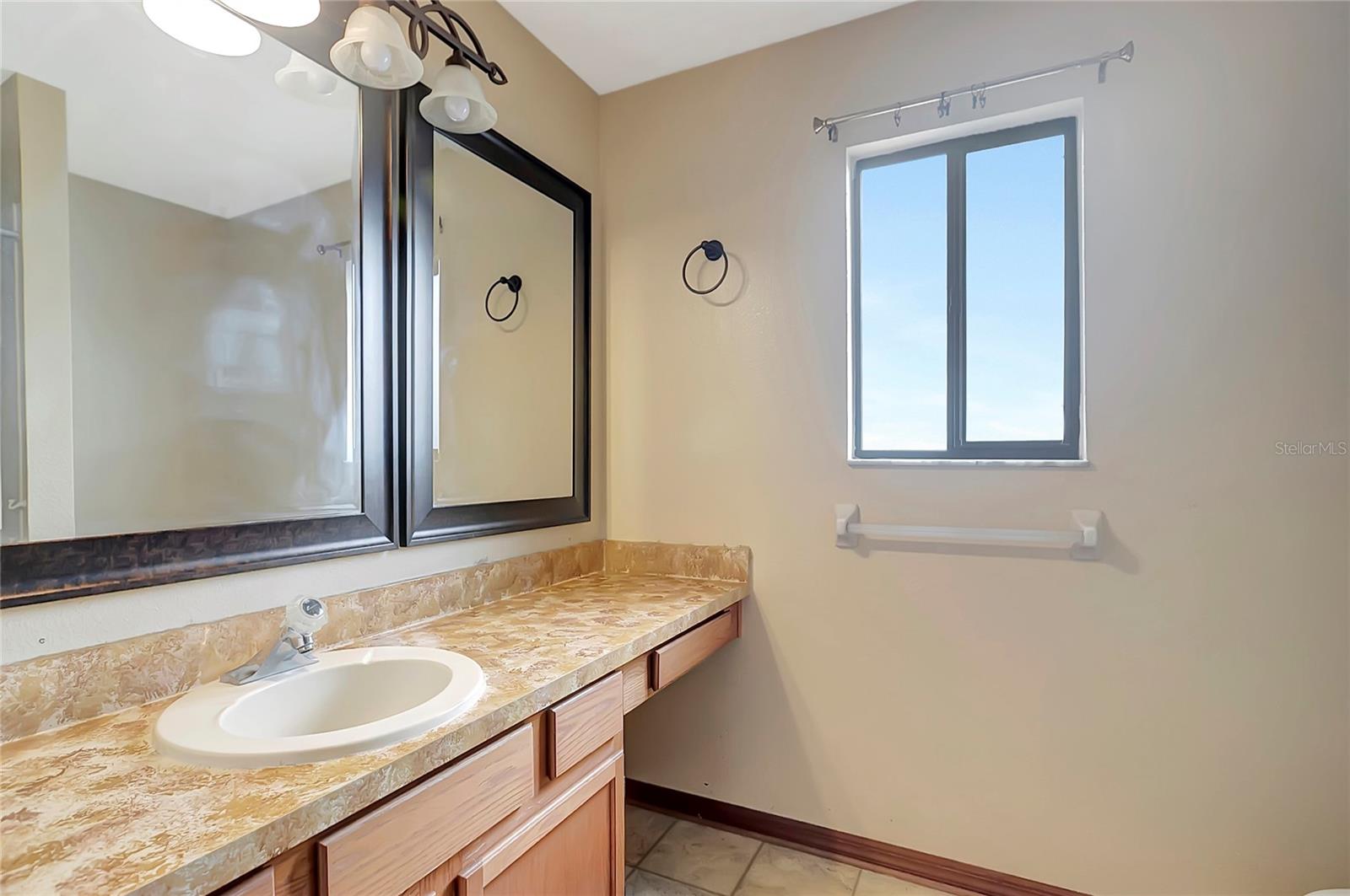 1808 SAWHORSE CT, LUTZ, FL, 33559