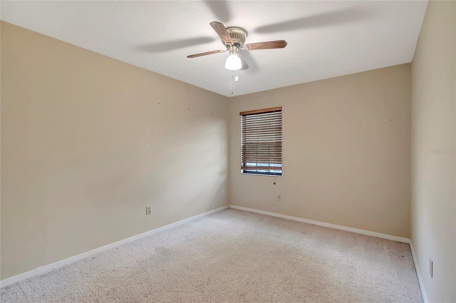 1808 SAWHORSE CT, LUTZ, FL, 33559