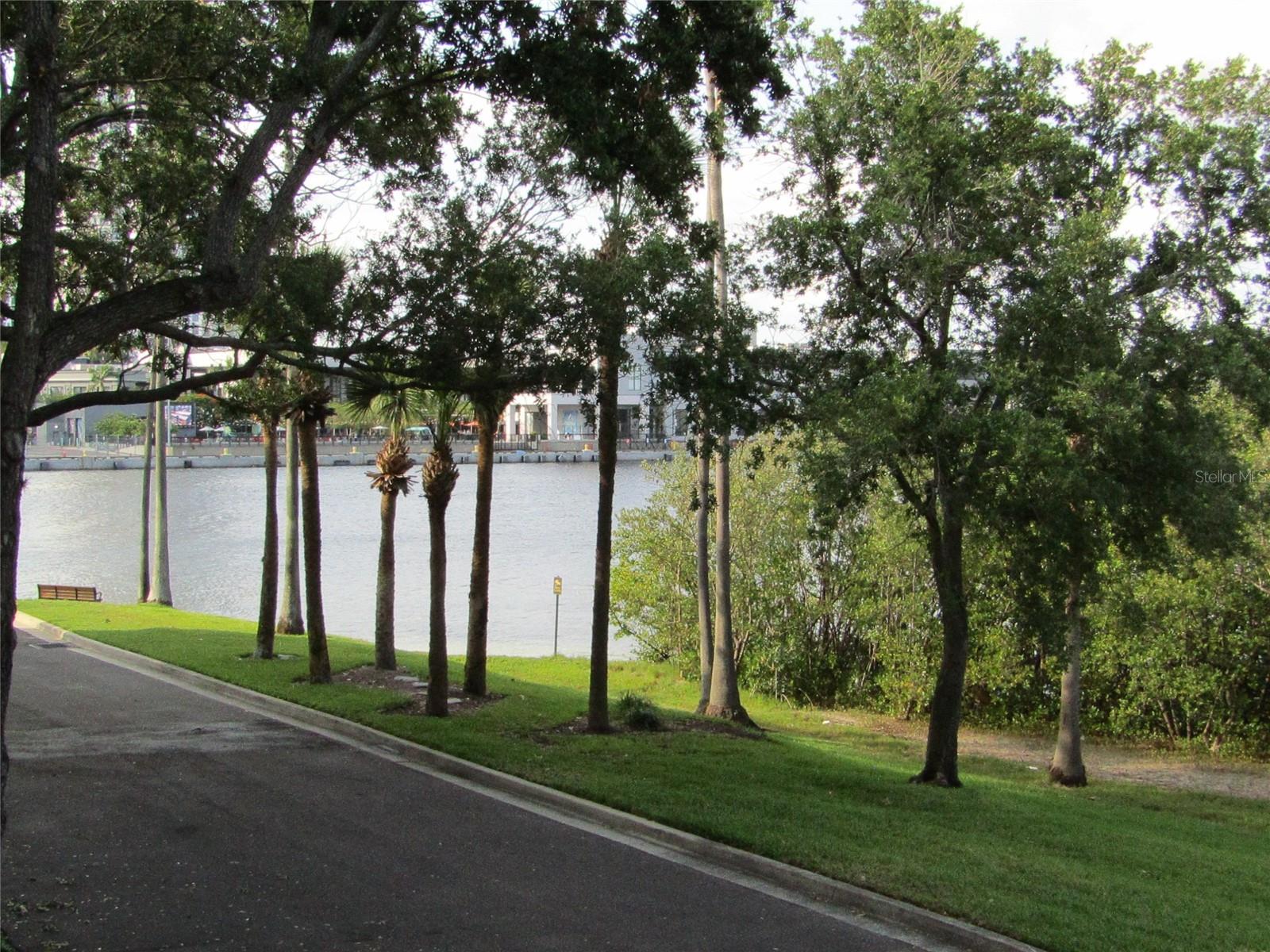 713 CRUISE VIEW DR #713, TAMPA, FL, 33602