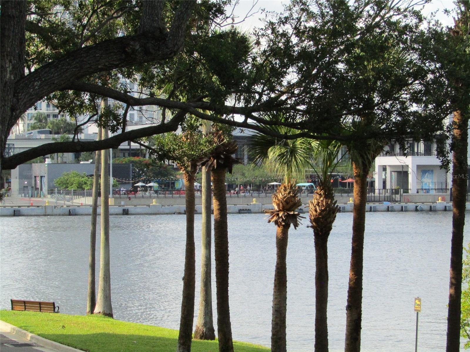 713 CRUISE VIEW DR #713, TAMPA, FL, 33602