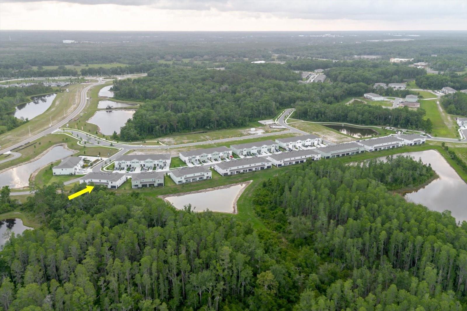 11054 CRESCENT DEER DR, LAND O LAKES, FL, 34638