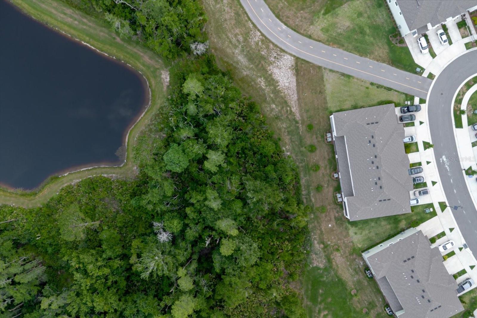 11054 CRESCENT DEER DR, LAND O LAKES, FL, 34638