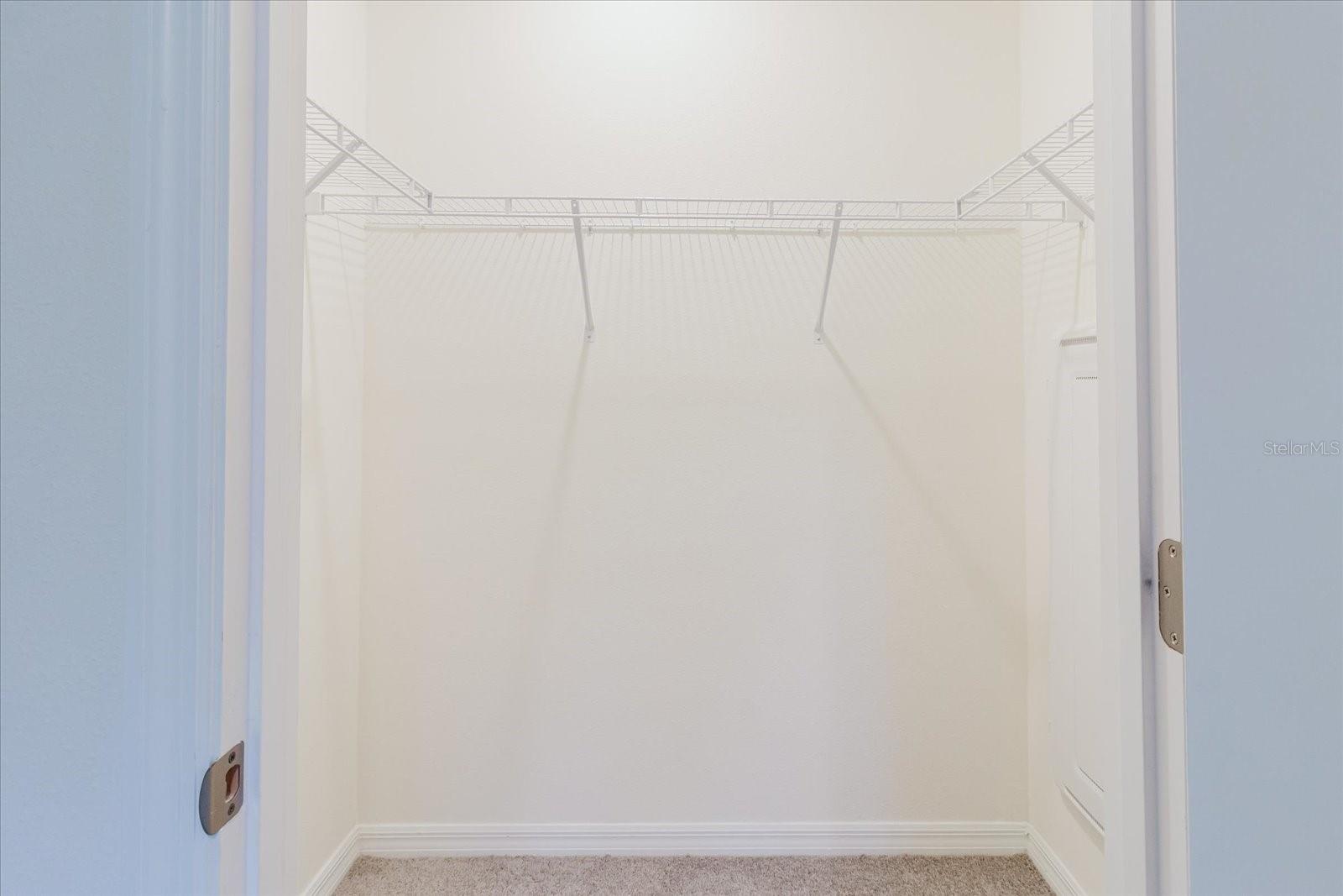 11054 CRESCENT DEER DR, LAND O LAKES, FL, 34638