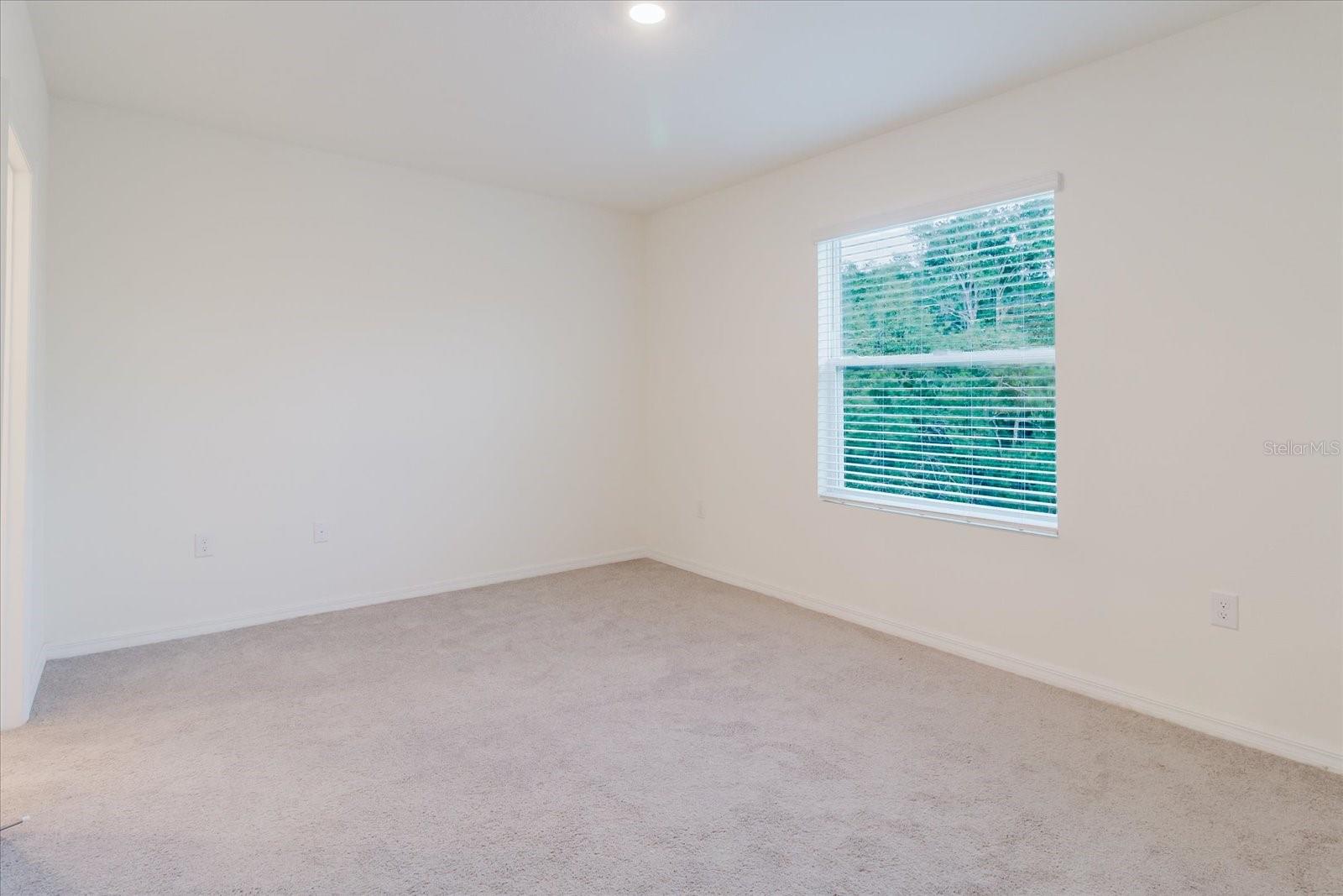 11054 CRESCENT DEER DR, LAND O LAKES, FL, 34638