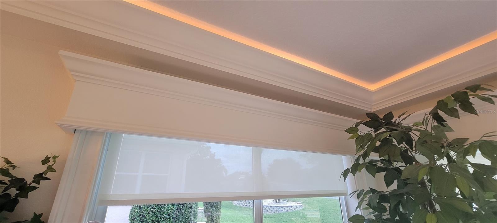 1550 WARD CT, THE VILLAGES, FL, 32162