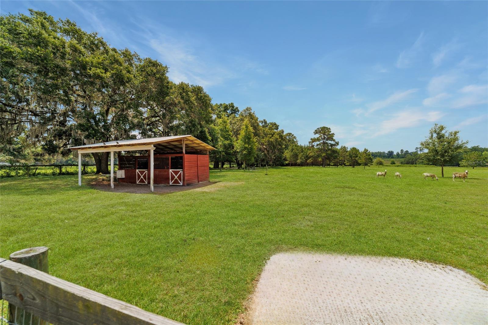 16520 NW 170TH ST, WILLISTON, FL, 32696