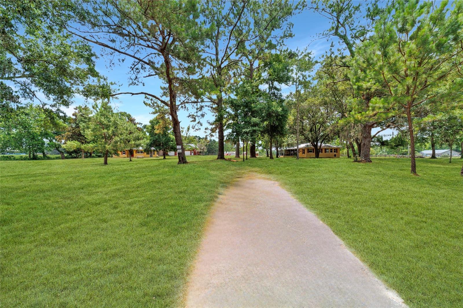 16520 NW 170TH ST, WILLISTON, FL, 32696