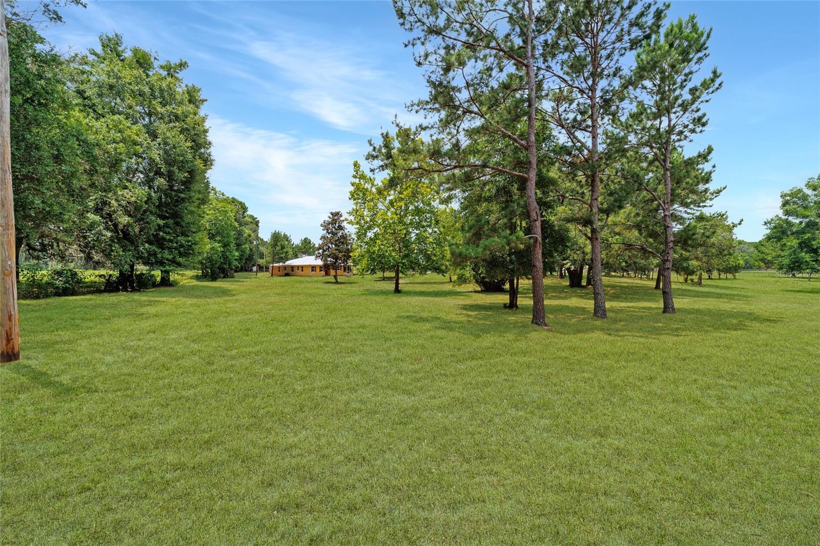 16520 NW 170TH ST, WILLISTON, FL, 32696