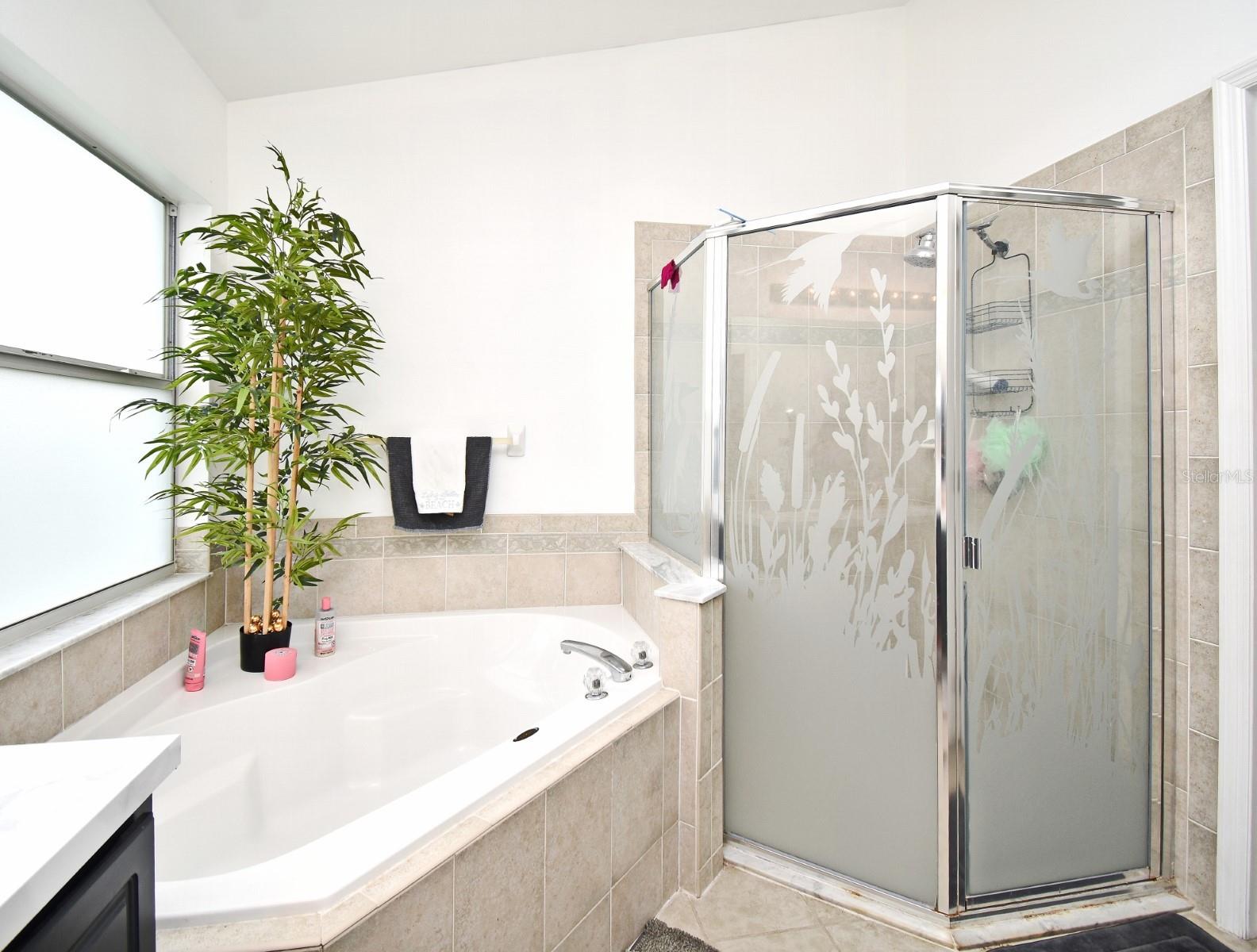 2634 GOLD DUST CIR, KISSIMMEE, FL, 34744