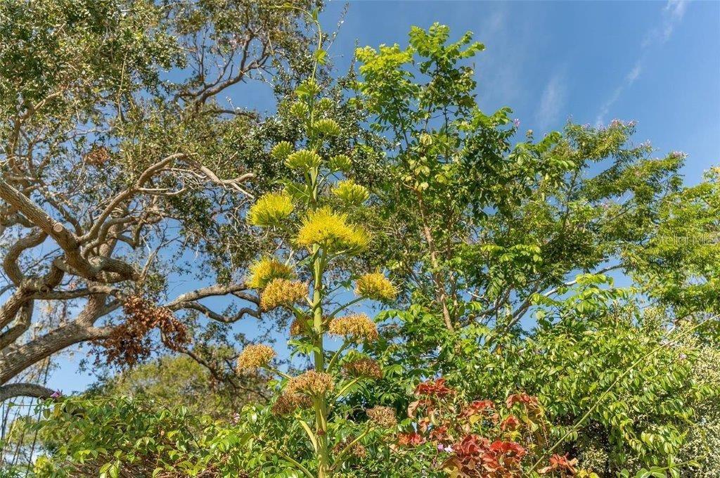 988 BLVD OF THE ARTS #1016, SARASOTA, FL, 34236