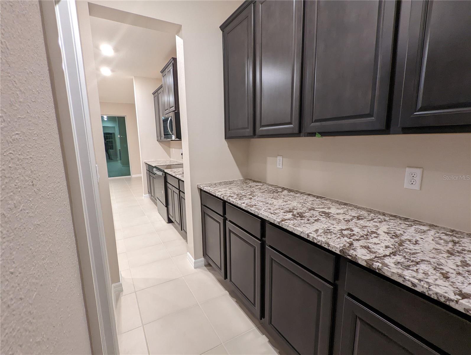 1154 OCEAN SPRAY DR, RUSKIN, FL, 33570