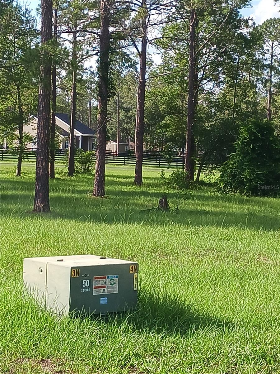 35135 PINEGATE TRL, EUSTIS, FL, 32736