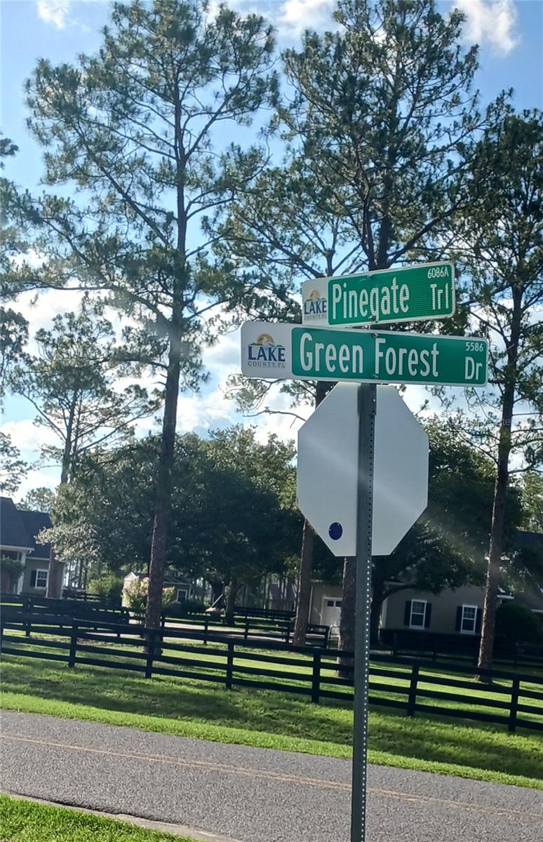 35135 PINEGATE TRL, EUSTIS, FL, 32736