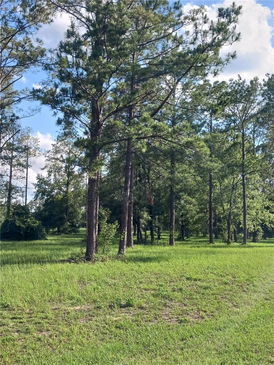 35135 PINEGATE TRL, EUSTIS, FL, 32736