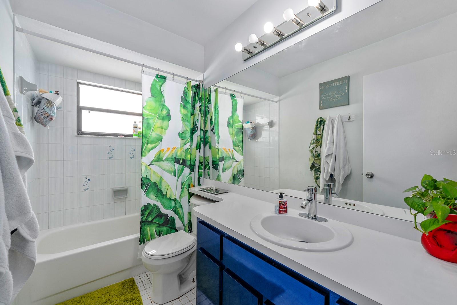 8216 DAMARA DR, NEW PORT RICHEY, FL, 34653