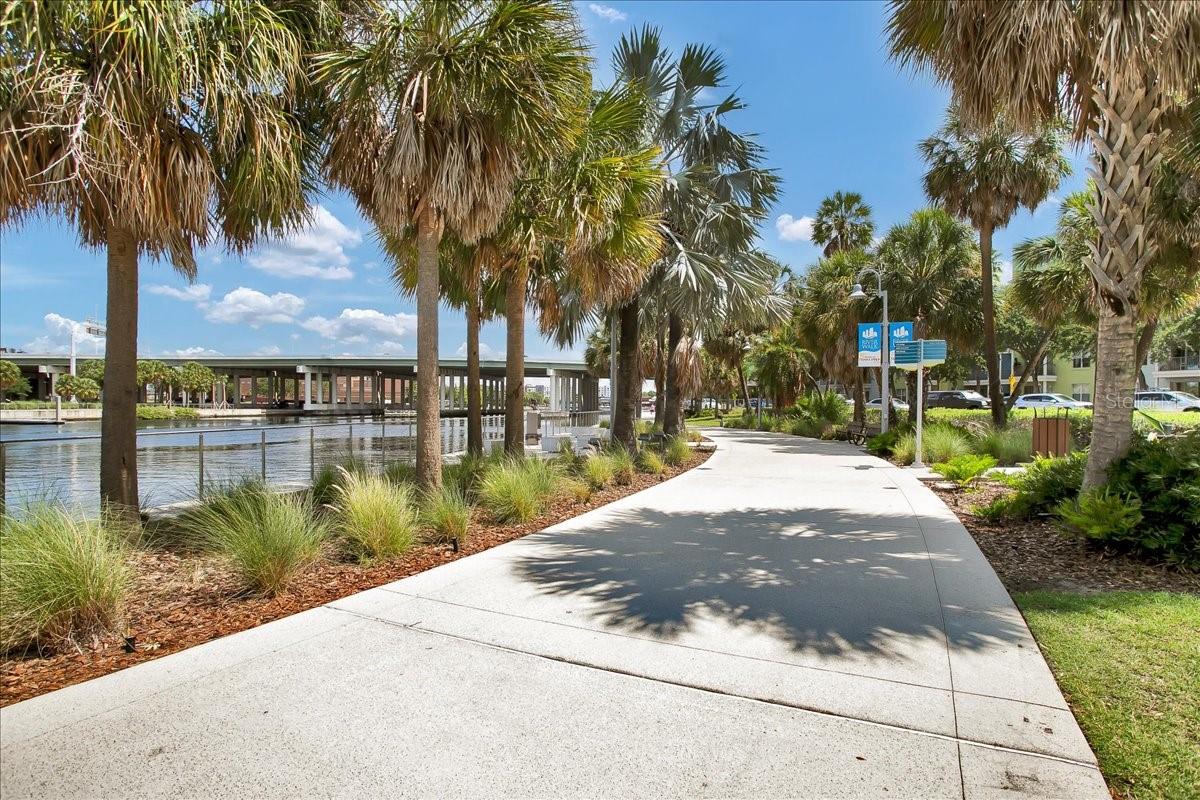 1501 DOYLE CARLTON DR #303, TAMPA, FL, 33602