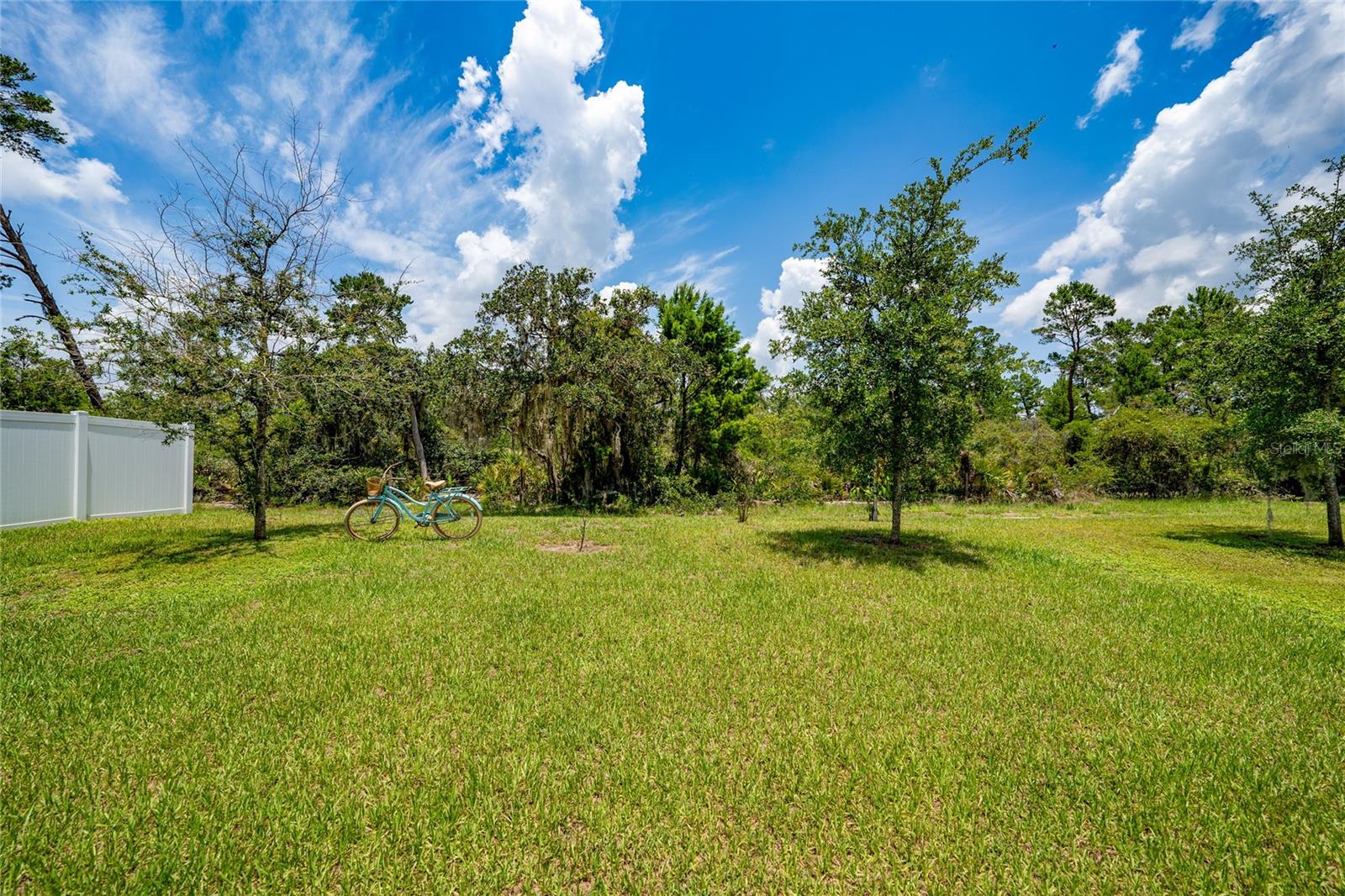 2726 HARMONIA HAMMOCK RD, HARMONY, FL, 34773