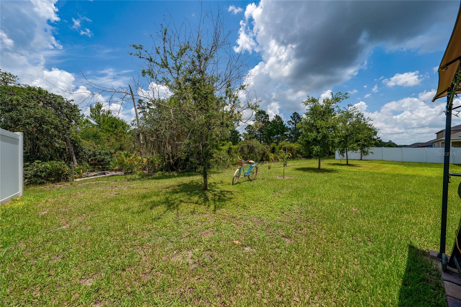 2726 HARMONIA HAMMOCK RD, HARMONY, FL, 34773