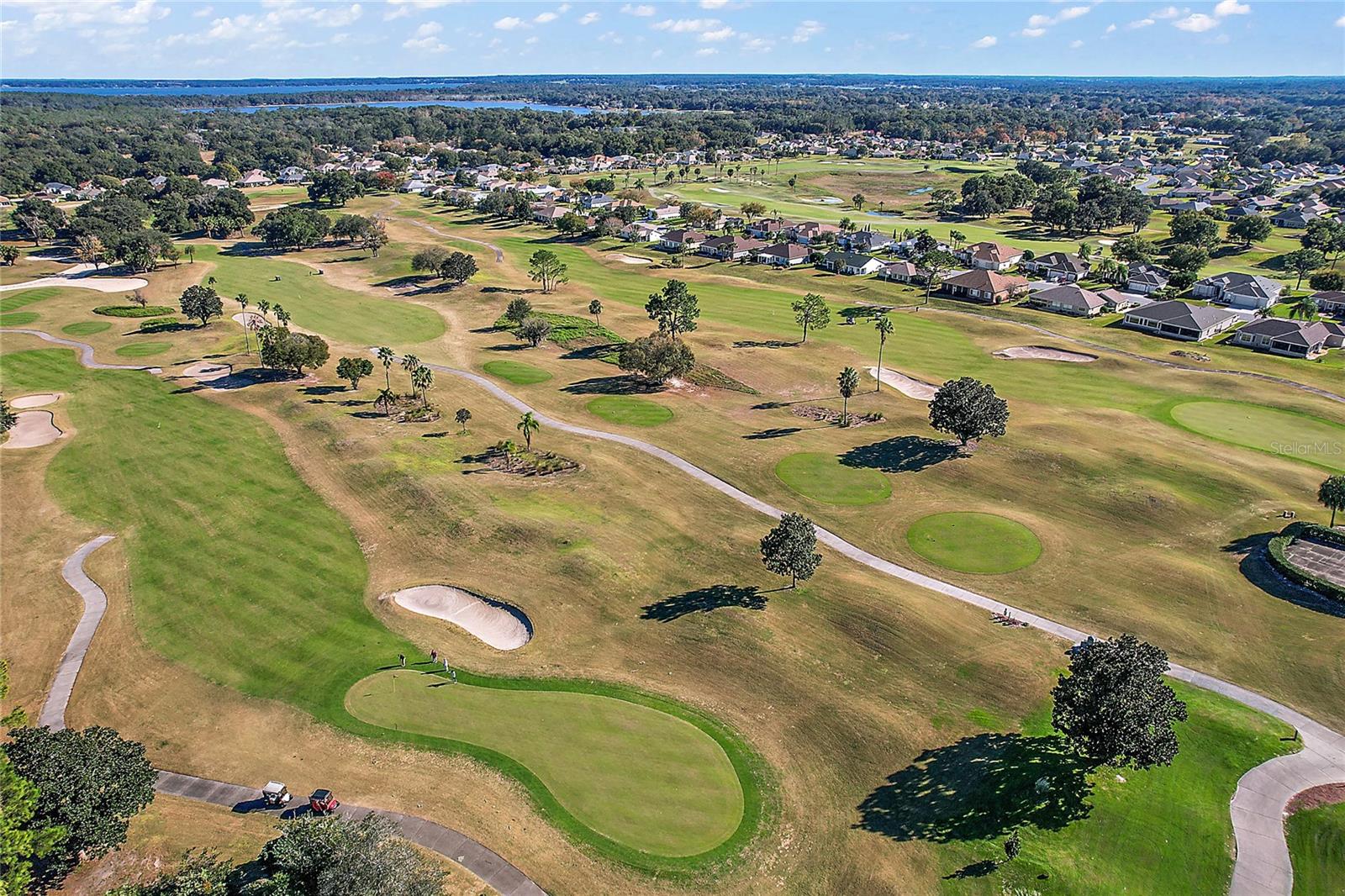 8772 SE 130TH LOOP, SUMMERFIELD, FL, 34491