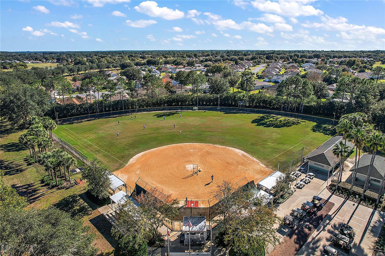 8772 SE 130TH LOOP, SUMMERFIELD, FL, 34491