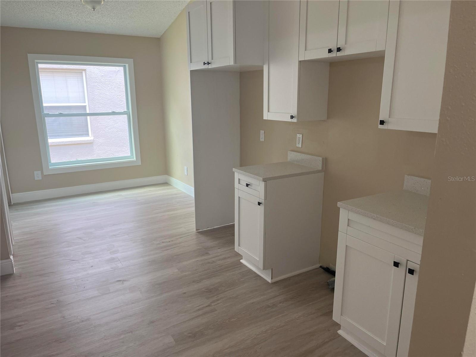 12421 EARLY RUN LN, RIVERVIEW, FL, 33578