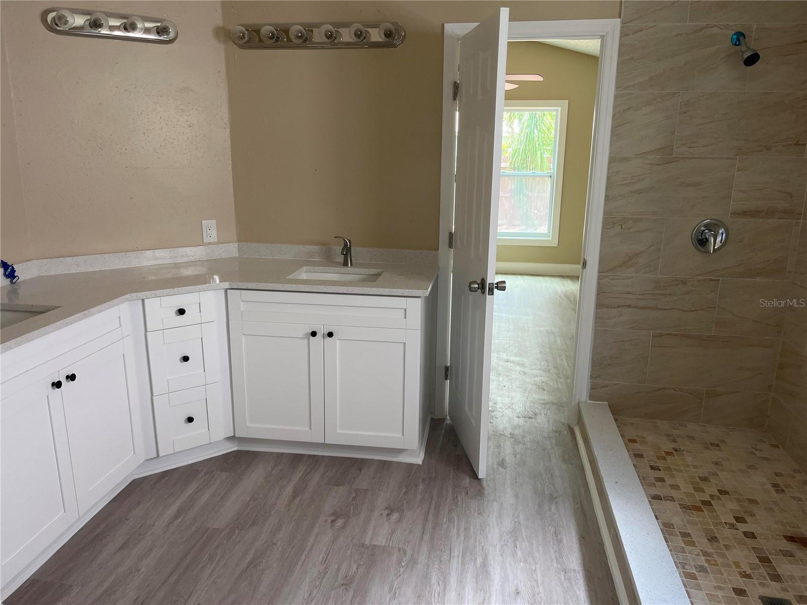 12421 EARLY RUN LN, RIVERVIEW, FL, 33578