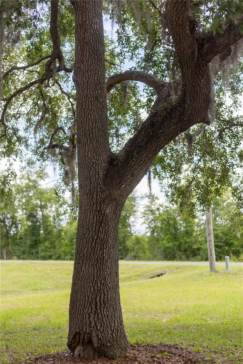 1930 SW BIRLEY AVE, LAKE CITY, FL, 32024