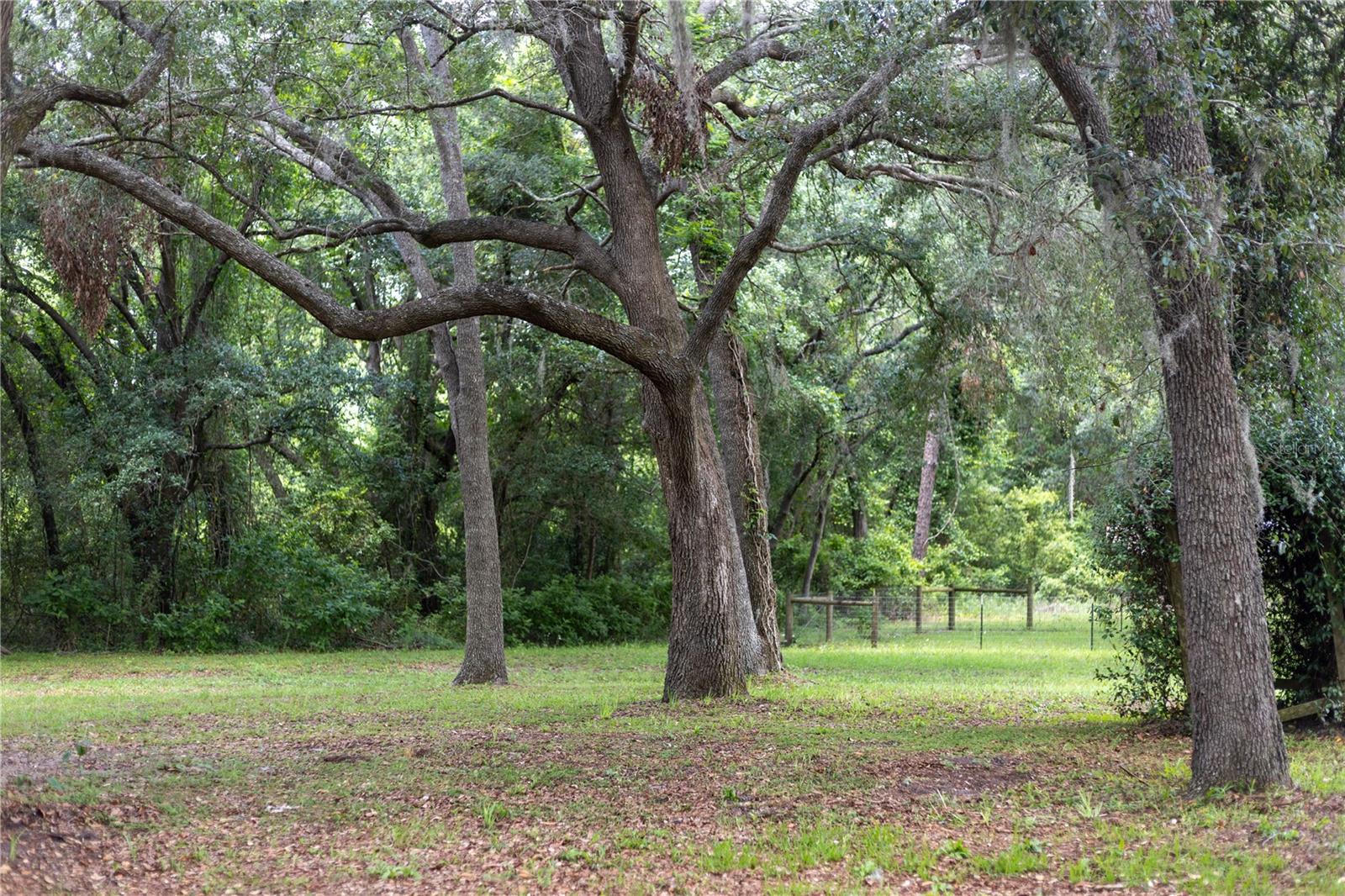 1930 SW BIRLEY AVE, LAKE CITY, FL, 32024