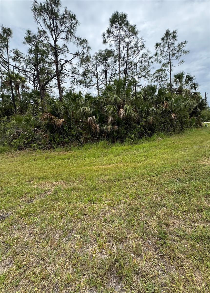 12071 WADSWORTH AVE, PORT CHARLOTTE, FL, 33981