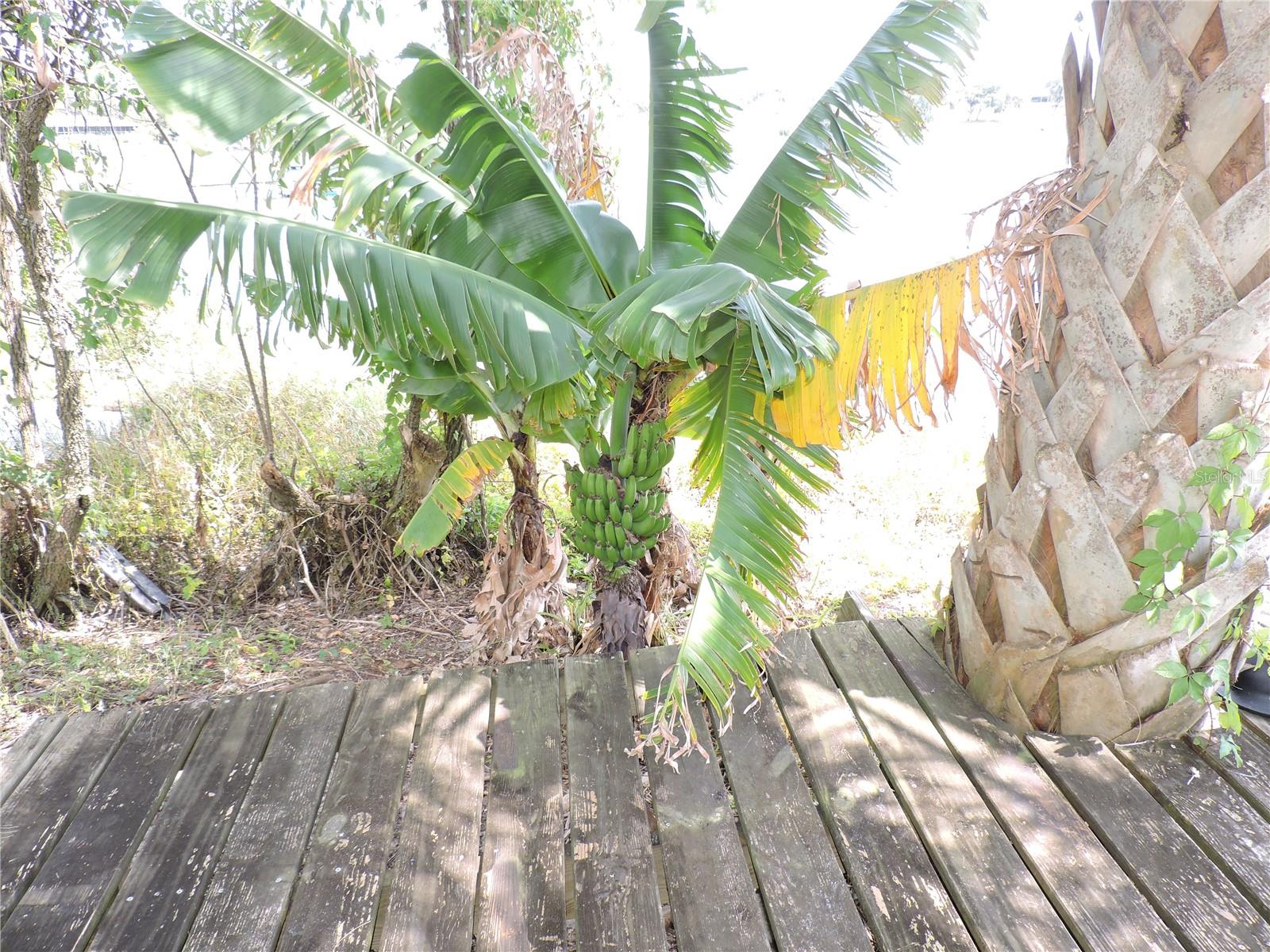 7254 WISTERIA LN, LAKE WALES, FL, 33898