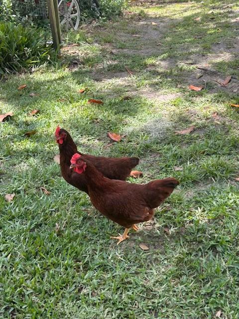 7254 WISTERIA LN, LAKE WALES, FL, 33898