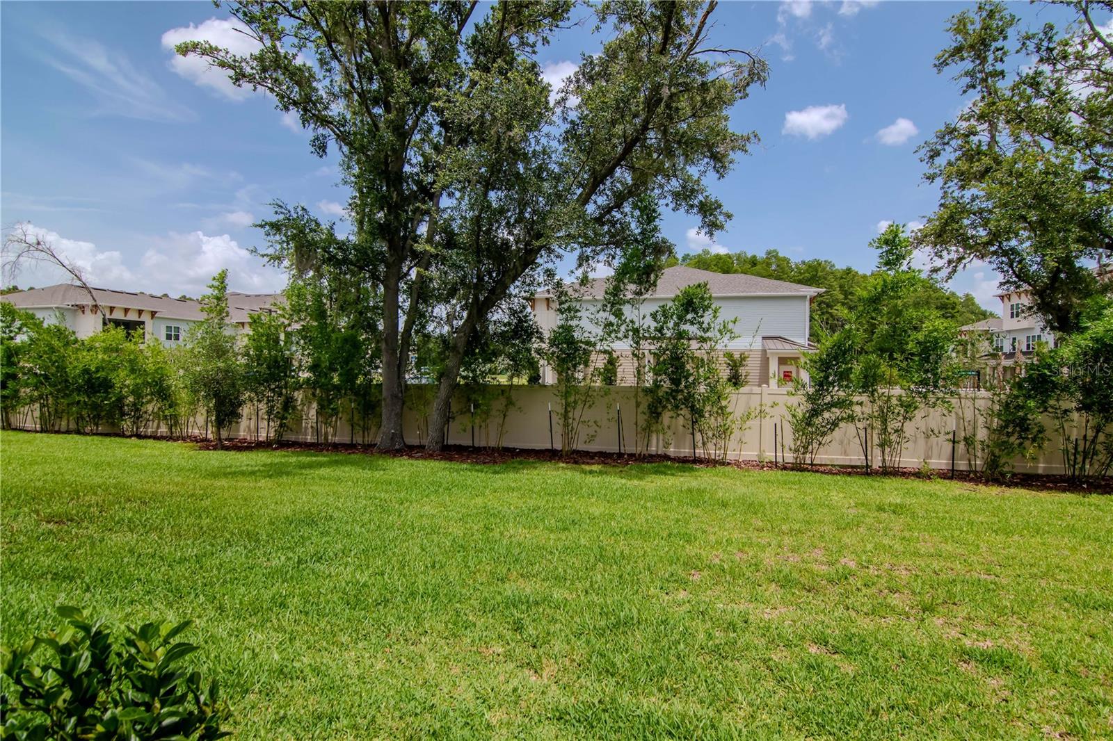 4262 CLOUD HOPPER WAY, LUTZ, FL, 33559