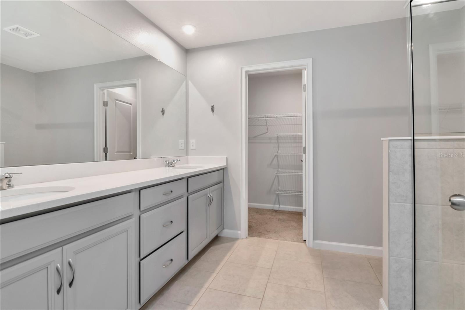 4262 CLOUD HOPPER WAY, LUTZ, FL, 33559