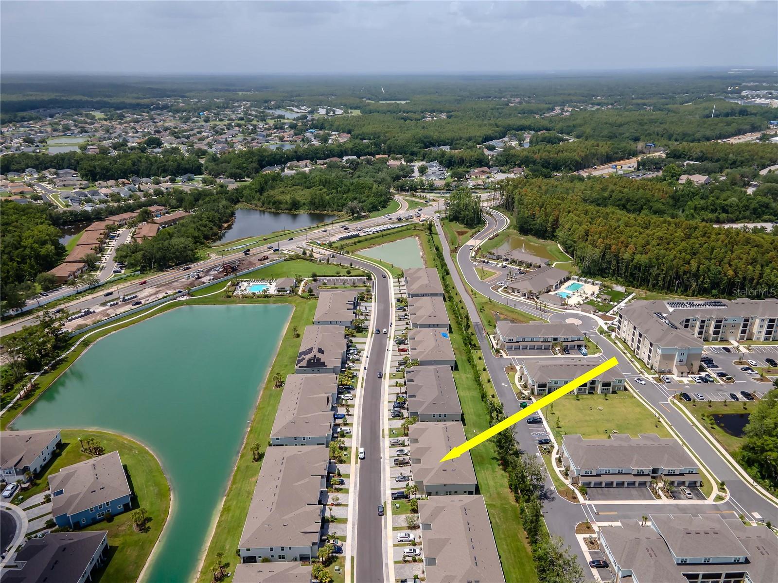 4262 CLOUD HOPPER WAY, LUTZ, FL, 33559