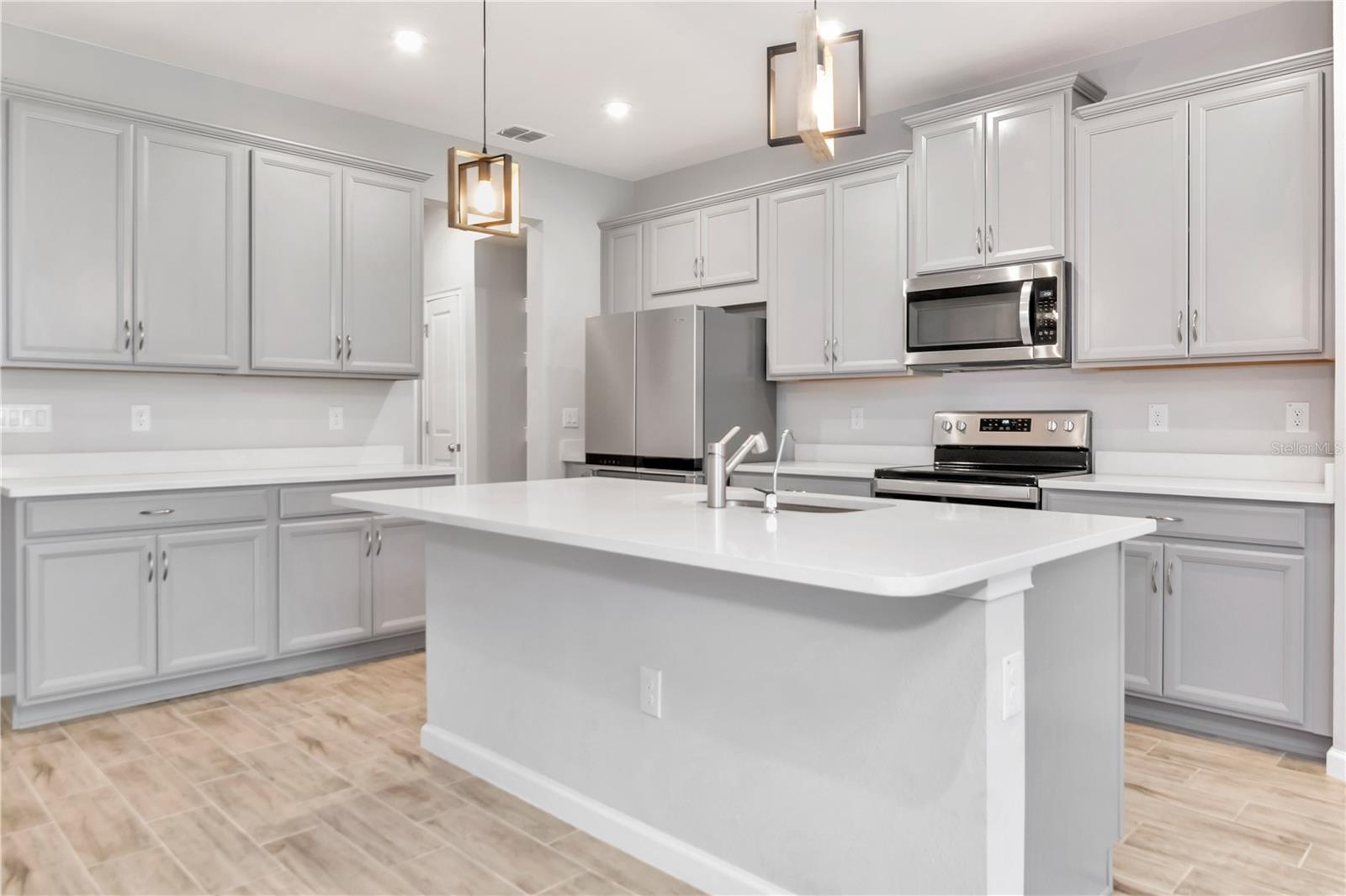 4262 CLOUD HOPPER WAY, LUTZ, FL, 33559