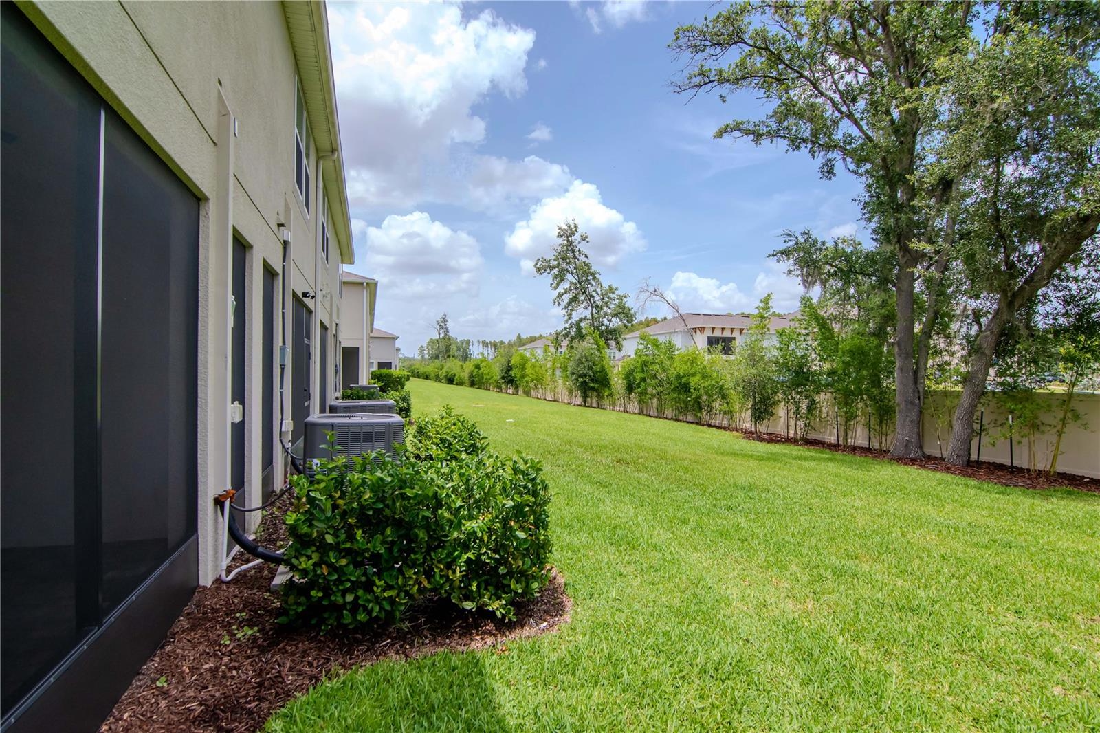 4262 CLOUD HOPPER WAY, LUTZ, FL, 33559