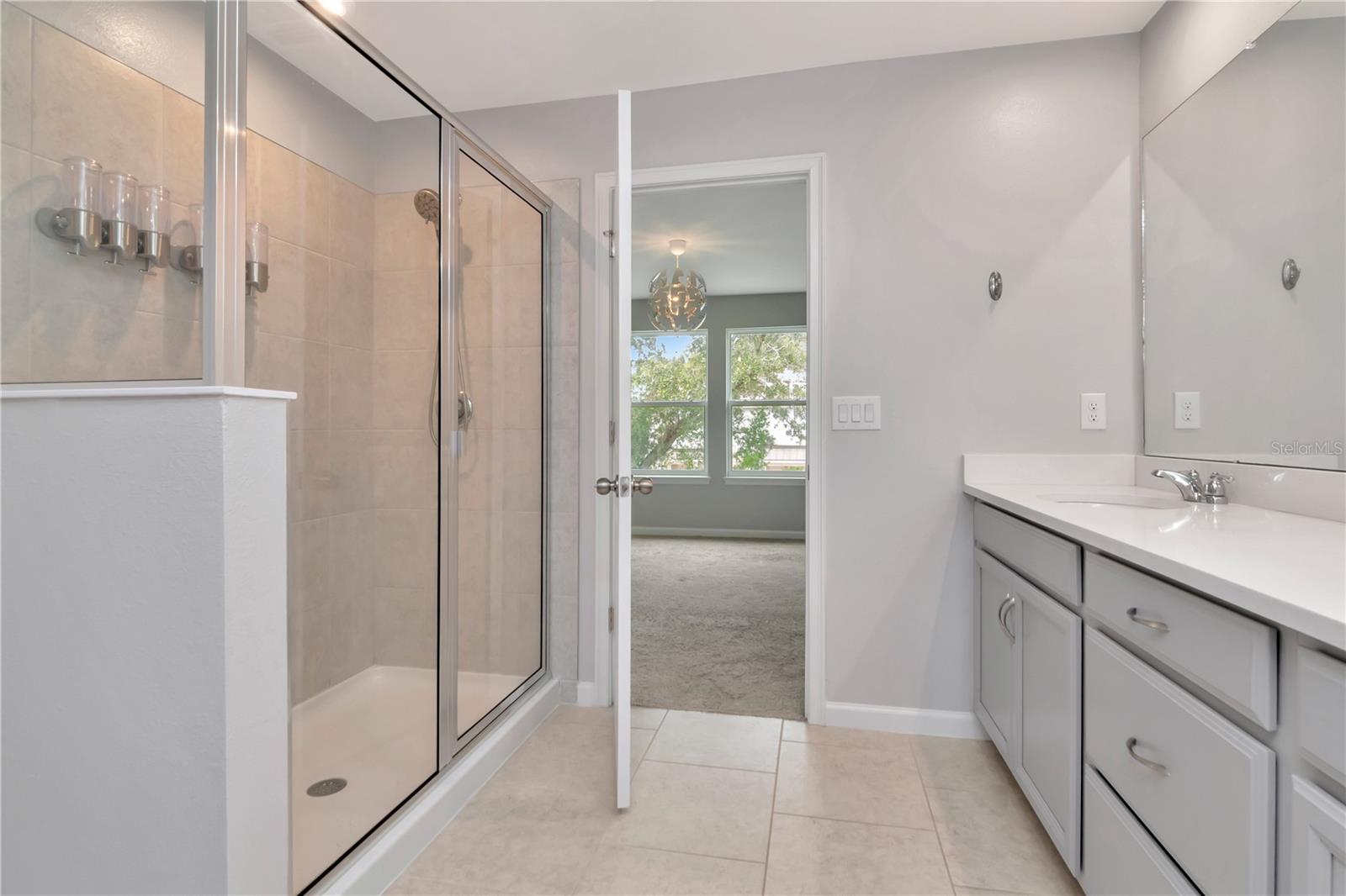 4262 CLOUD HOPPER WAY, LUTZ, FL, 33559