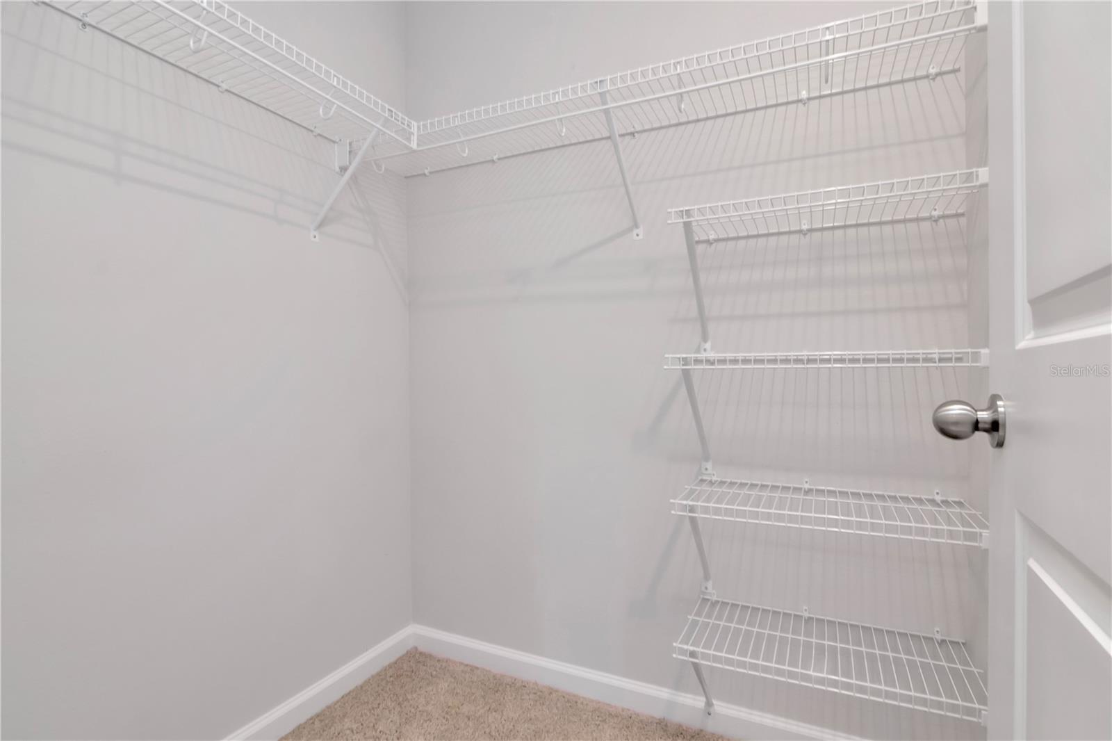 4262 CLOUD HOPPER WAY, LUTZ, FL, 33559