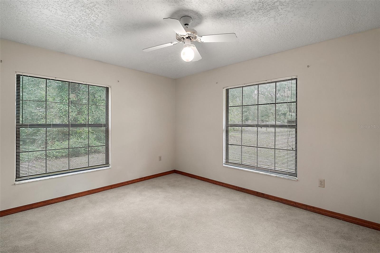 37236 CHERRY LAKE RD, FRUITLAND PARK, FL, 34731